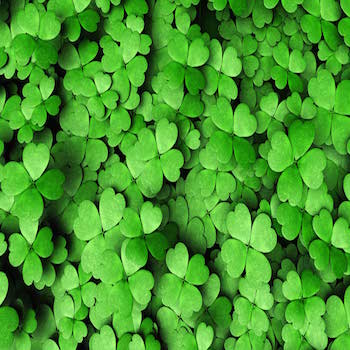 St. Patrick's Day Swegways Hoverboards
