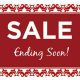 Booming Swegway Hoverboard Sale