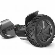 Off Road Hoverboard Swegway UK