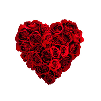 Valentines Day 2018 Hoverboard Swegway Sale