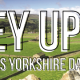 Yorkshire Day Hoverboards UK