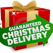 HOVERBOARDS UK Christmas Delivery Guarantee