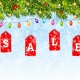 Hoverboard Christmas Sales 2018