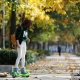 Hoverboards in Spring 2019 UK